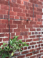 Espalier Frame 3 Teir