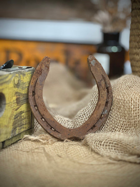 Lucky Rusted Horseshoe