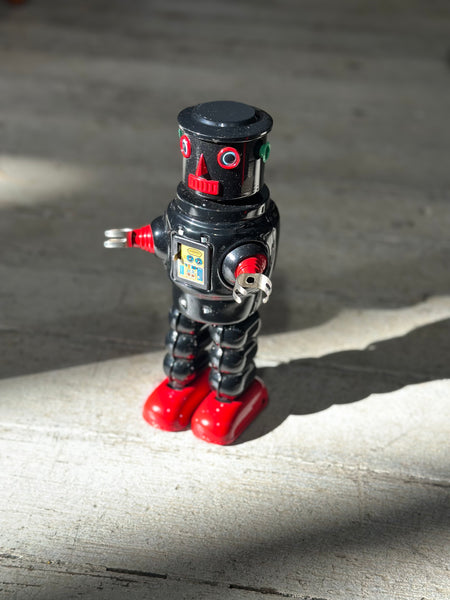 Roby Large Robot