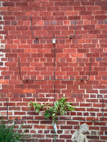 Espalier Frame 3 Teir