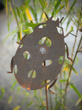 Garden Spike Ladybeetle