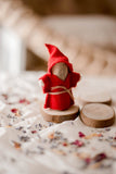 Coco Gnome House