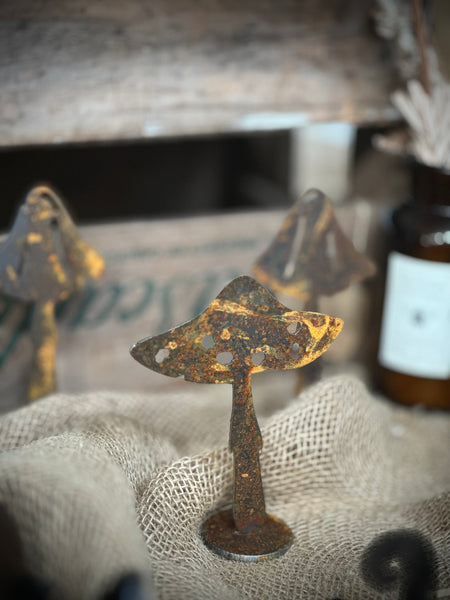Steel Garden Mushrooms