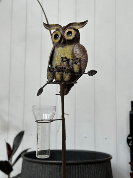 Mrs Owls Rain Gauge