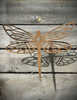 Garden Spike Dragonfly