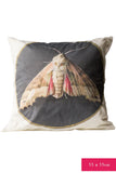 Cushion Cover - Moth