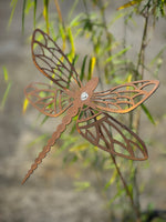 Garden Spike Dragonfly