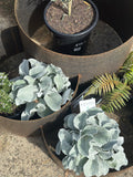 Three Ring Tiered Planter