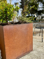 Square Mild Steel Planter Box - Straight Edge