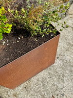 Square Mild Steel Planter Box - Straight Edge