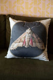 Cushion Cover - Moth