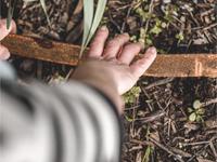 Garden and Path Edging