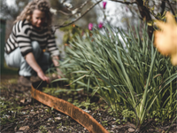 Garden and Path Edging