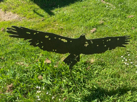 Garden Spike - Wedgetail Eagle