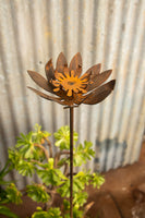 Garden Spike - Protea